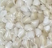 Delicious Mountain Almonds