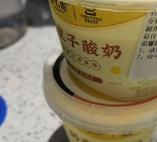 Creamy Milk Yogurt