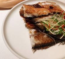 100-Second Yellow Croaker