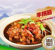 Sheep Knuckle Tendon