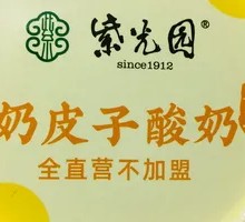 Creamy Milk Yogurt