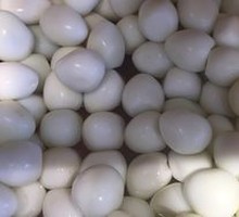 Quail Egg