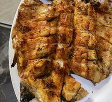 Rainbow Trout