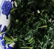 Mixed Wild Greens Salad
