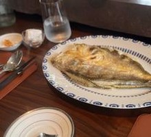 Copper-net Yellow Croaker