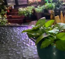 Hand-剥 Bamboo Shoots