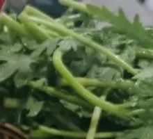 Chinese chrysanthemum greens