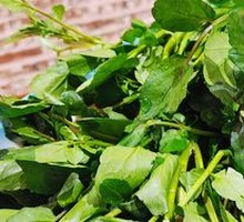 Watercress