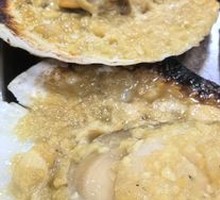 Scallop