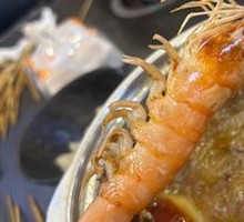 Large Shrimp