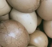 Tea Egg
