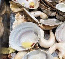 Bird Clam