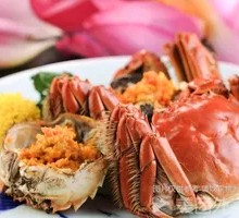 Red-Gilled Freshwater Crab