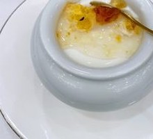 Appetizer Yogurt