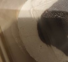 Red Bean Custard Roll