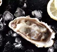 Oyster