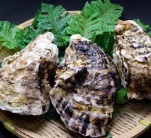 Pressure-cooked Oysters