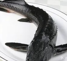 Sturgeon