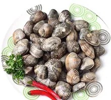 Live Clams Without Sand