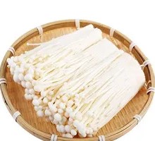 Enoki Mushroom