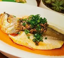 Steamed Yellow Croaker with Pickled Mustard Greens