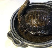 Braised Turtle in Spiced Sauce