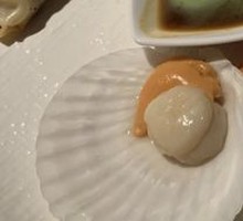 Scallop