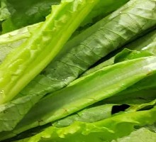 Buckwheat Greens