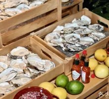 Fresh Oyster Sashimi