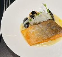 Arctic Char