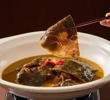 Braised Year-old Softshell Turtle