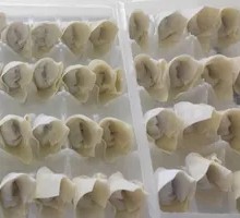Shiitake and Pork Dumplings