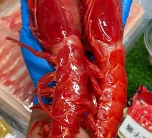 Spanish Red Devil Shrimp