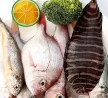 Mixed Sea Fish Platter