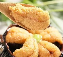 Fresh Sea Urchin Sashimi