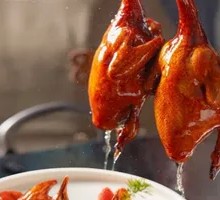 Young Pigeon with Milk