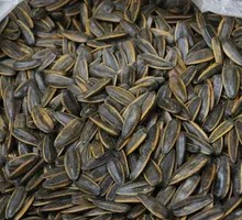 Caramelized Sunflower Seeds