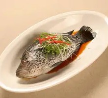 Steamed Grouper