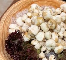 Hailing Island Pearl Water Chestnut