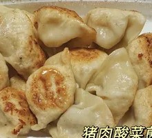 Pork and Sauerkraut Pan-Fried Dumplings