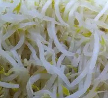 Mung Bean Sprouts