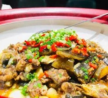 Spicy Softshell Turtle