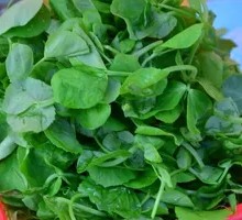 Stir-fried Pea Shoots