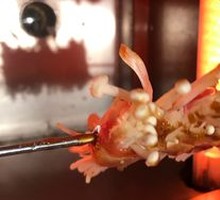 Pork Belly Rolls with Enoki Mushrooms