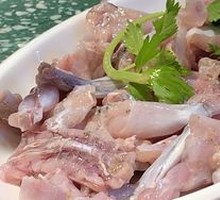 Fresh Frog Legs