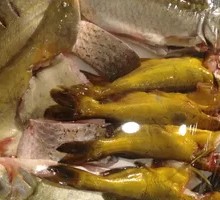 Assorted Fish Offal Platter