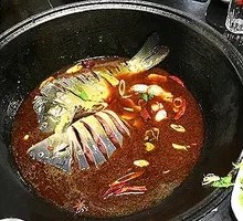 Fathead Catfish from Reservoir