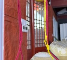 Mung Bean and Lily Bulb