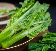 High Mountain Phoenix Tail