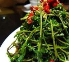 Cold-Pressed Wild Greens Salad